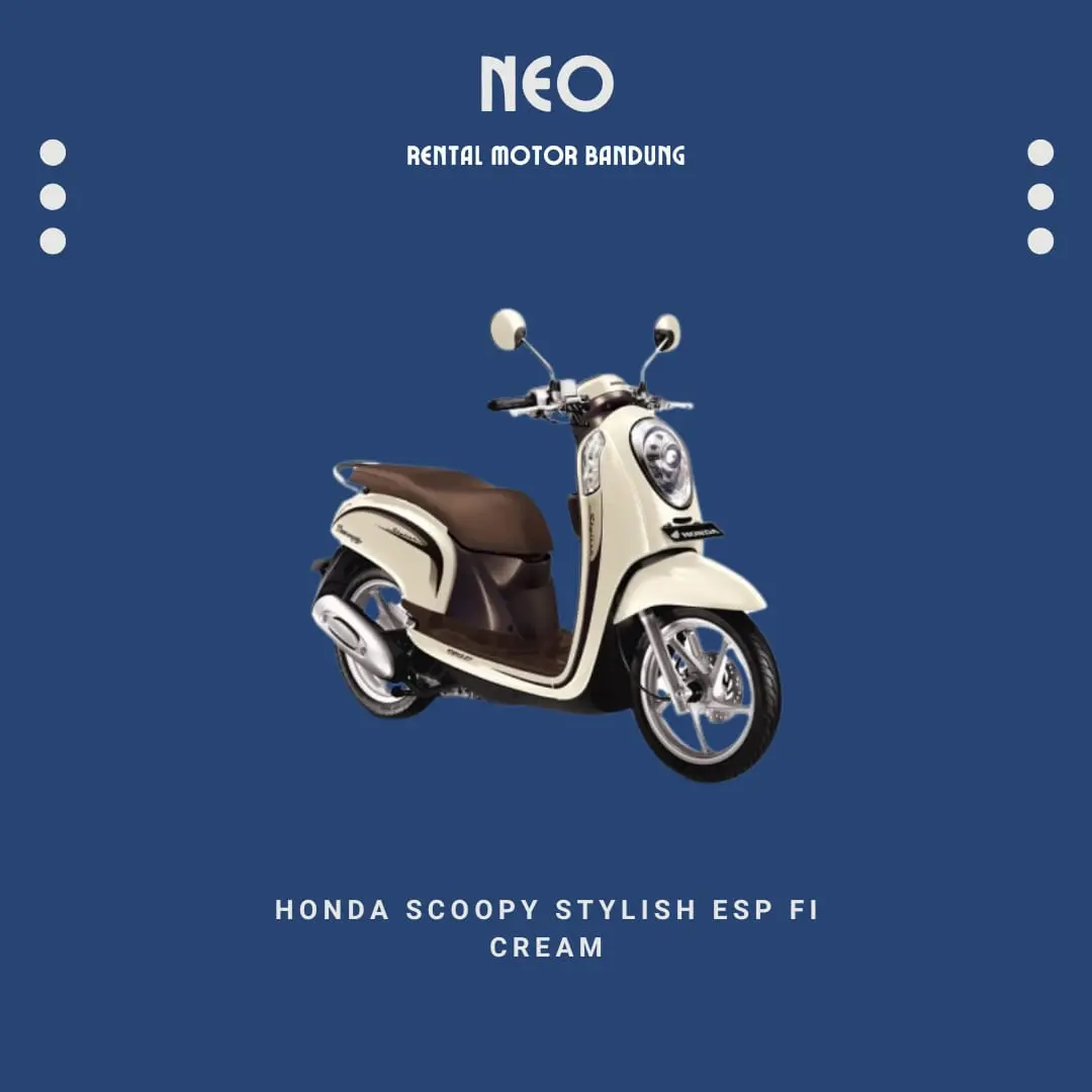 Scoopy